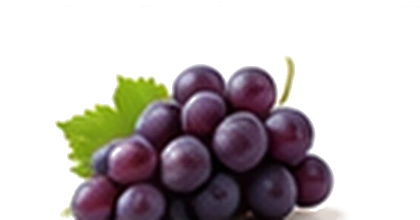 Üzüm aroması